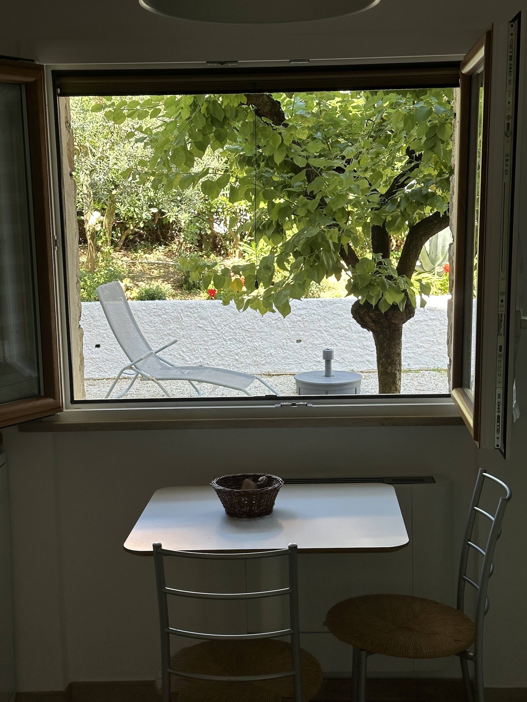Tavolo da pranzo e finestra sul giardino